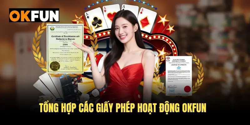 Tổng hợp các giấy phép hoạt động OKFUN chính thức